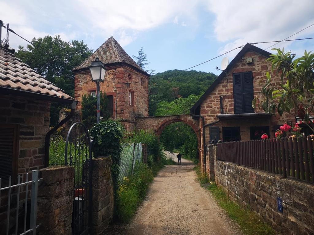 Wohnen Im Herzen Der Pfalz Neustadt an der Weinstraße 外观 照片