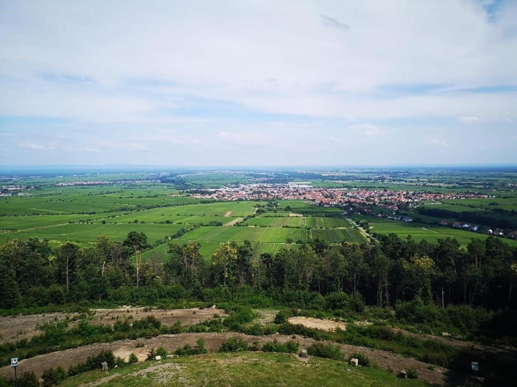 Wohnen Im Herzen Der Pfalz Neustadt an der Weinstraße 外观 照片